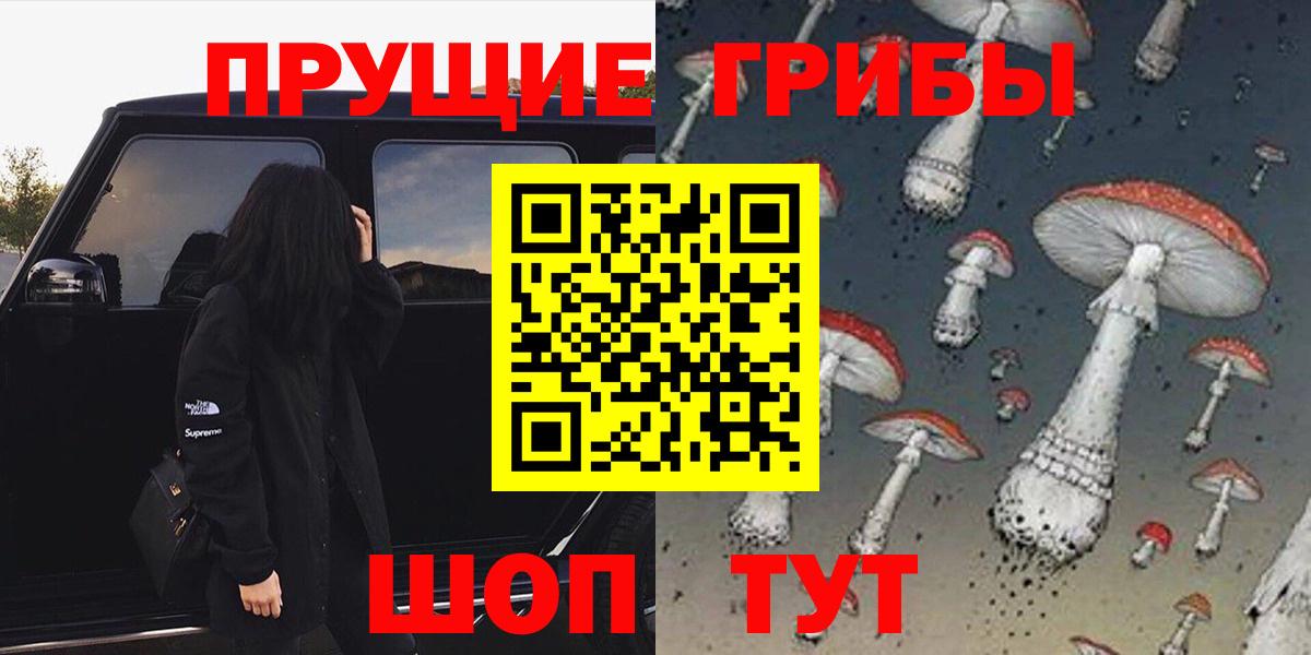 Псилоцибиновые грибы GOLDEN TEACHER  Вход с VPN  даркнет сайт  Подольск  Галлюциногенные грибы мухоморы 