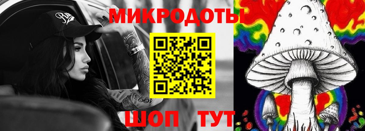 Галлюциногенные грибы Psilocybine cubensis Подольск
